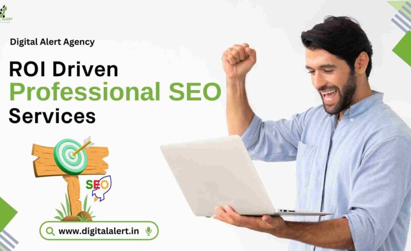 ROI Driven Professional SEO in India